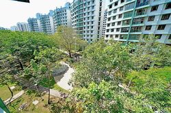 Blk 316C Anchorvale Link (Sengkang), HDB Executive #286595001